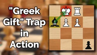 Launching My Greek Gift in 13 Moves