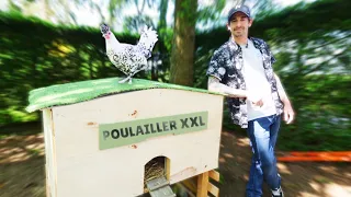 JE FAIS UN NOUVEAU POULAILLER DIY ! (feat Monique, la poule)