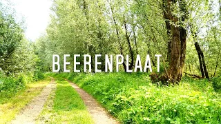 Beerenplaat