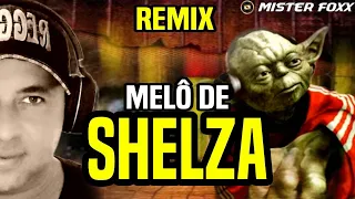 Melô De Shelza | Reggae Remix - Dj Mister Foxx