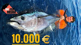 Fang den 10.000-Euro-Fisch – Thunfischangeln im Mittelmeer