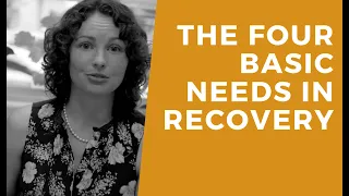 Wellness 101  The 4 Basic Needs in Recovery