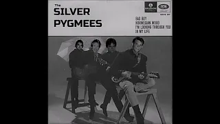 I'm Looking Through You= Beatles cover by The Silver Pygmees (Remastered 2020)