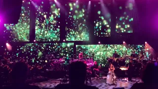 Evanescence - Unraveling + Imaginary live Holmdel 2018