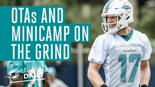 Behind the scenes during OTAs and minicamp | Dolphins Daily