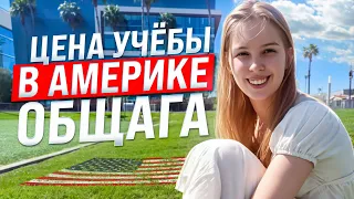 Получите Бесплатное Образование? ОБЩАГА в Америке Раскрывает Всё!