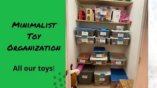 How I organize my Kids toys? 5 kids!