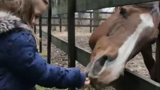 Little girl and her horse share incredibly precious moments together
