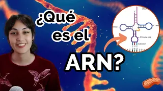 TODO lo que tenés que saber sobre el ARN 🧬 Tipos, funciones, diferencias