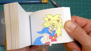 Sailor Moon Super Saiyan Flipbook