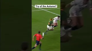 What a try! 🇿🇦 #Rugby #TheRugbyGuy #SouthAfrica #Springboks
