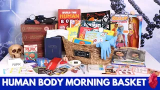 Morning Basket: Anatomy | Human Body