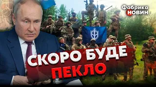 ❌Командир РДК WHITE REX: буде ГІРШЕ, ніж ВБИВСТВО ПУТІНА! У нашу АРМІЮ ЧЕРГА. Бєлгород - початок