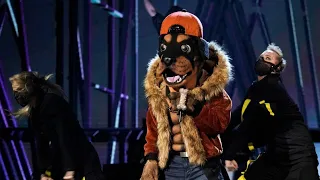 The Masked Singer ~ S2 ~ Rottweiler