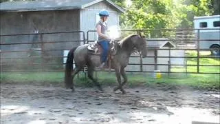 SOLDSound and Natural TWH Pony For Sale