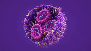 What’s inside a lipid nanoparticle?