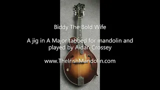 Biddy The Bold Wife - a jig in A Major tabbed for mandolin and played by Aidan Crossey