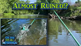Smallmouth Bass EVERYWHERE! Did THIS Ruin an Amazing Creek Fishing Day?
