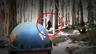 I've Changed My Mind About Bigfoot