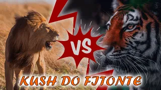 LUANI VS TIGRI! Kush Do Fitonte Në Një DYLUFTIM | ALB EXPLORER