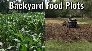 Backyard Corn and Soybean Food Plots