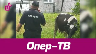 Опер-ТВ - 14.09.2020