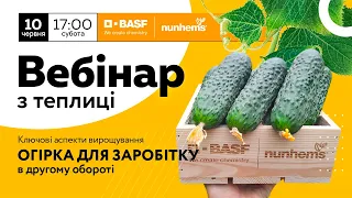 ПРЯМИЙ ЕФІР: Ключові аспекти вирощування огірка для заробітку в другому обороті