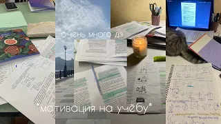 📖study diary: много контрольных, дз и мои будни