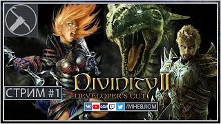 Прохождение Divinity II: Developer's Cut / СТРИМ #1