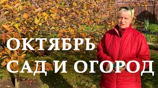 Работы в саду и огороде. Октябрь. Часть 1.