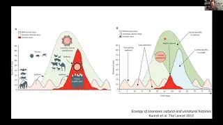COVID-19: Zoonotic Spillover and Emerging Viruses