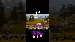 Тұздың кереметі!