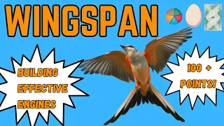 Wingspan Strategy: How To Play and Build Effective Engines. 100+ Points!