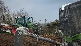 x2 FENDT 312 PROFI PLUS | SEMIS DE LUPINS | BRETAGNE 2018