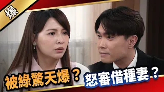 《八點檔搶先爆》愛的榮耀 EP150 被綠驚天爆？ 怒審借種妻？