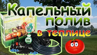 Капельный полив в теплице