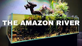 THE AMAZON INSPIRED BIG SHALLOW - Full Step By Step Aquascape Tutorial