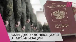 Будут ли страны ЕС выдавать визы для уклоняющихся от мобилизации?