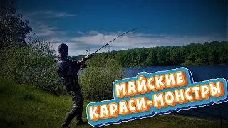 Караси- монстры река Волга