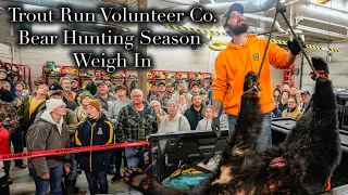 Bear Hunting Season- Trout Run (Pa.) Weigh In