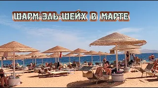 Отдых в отеле DOMINA CORAL BAY OASIS 5  Шарм –Эль Шейх Египет