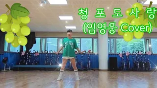 #청포도 사랑(임영웅 Cover)/Beginner Line Dance/시니어라인댄스/