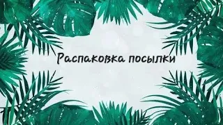 Распаковка посылки с бегониями от Алины Мешалкиной.