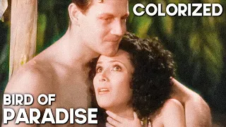 Bird of Paradise | COLORIZED | Island Adventure Movie | Joel McCrea | Romance