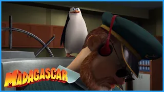 DreamWorks Madagascar | The Penguins Takes Over The Ship | Madagascar Movie Clip