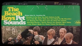 Pet Sounds: An Annotated look at the Classic Beach Boys Album | Liner Notes
