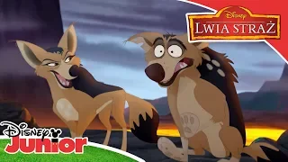 🎵Jesteśmy najmądrzejsi! | Lwia Straż | Disney Junior Polska