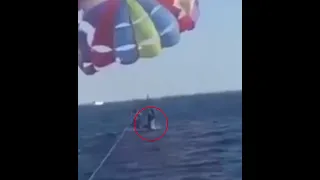 Акула напала на парашютиста на Красном море