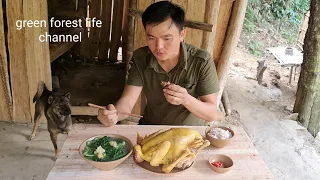 Make a new dining table. Cook chicken to improve my health and Mao Mao. Green forest life (ep237)