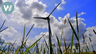 Die gefährdete Welt der Halligen | Deutschlands Küsten - Die Nordsee (4/10)